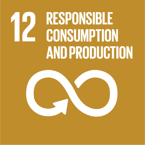 “SDG12”