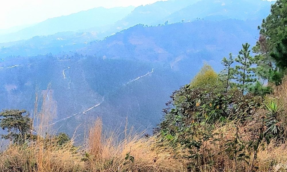 A view of the mountains with long grass and bushes in the foreground and a long, winding road through the mountains in the mid and background